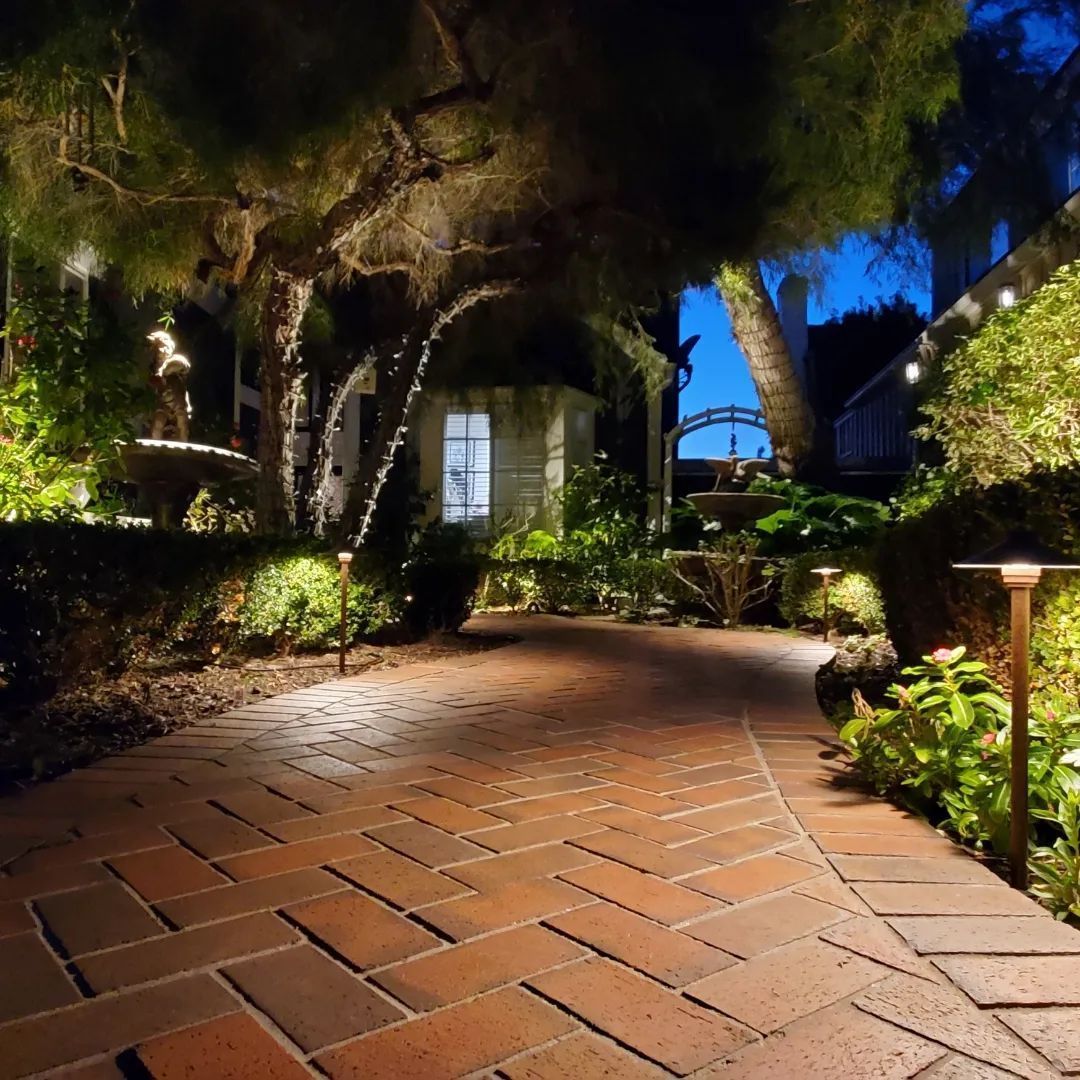 A brick walkway is lit up at night