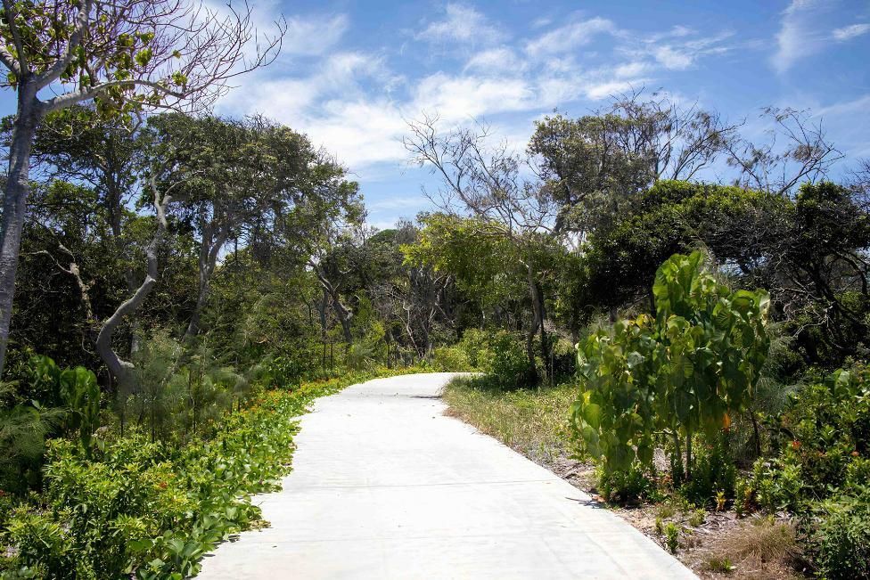 A Concrete Path Going Through a Lush Green Forest — IBS Skip Bins in Warana, QLD