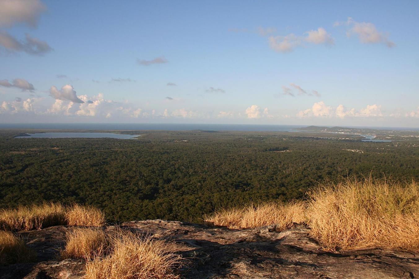 A View of a Lush Green Forest From the Top of a Mountain — IBS Skip Bins in Cooroy, QLD