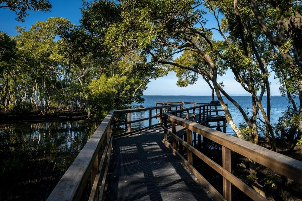 A Wooden Bridge Over a Body of Water Surrounded by Trees — IBS Skip Bins in Landsborough, QLD