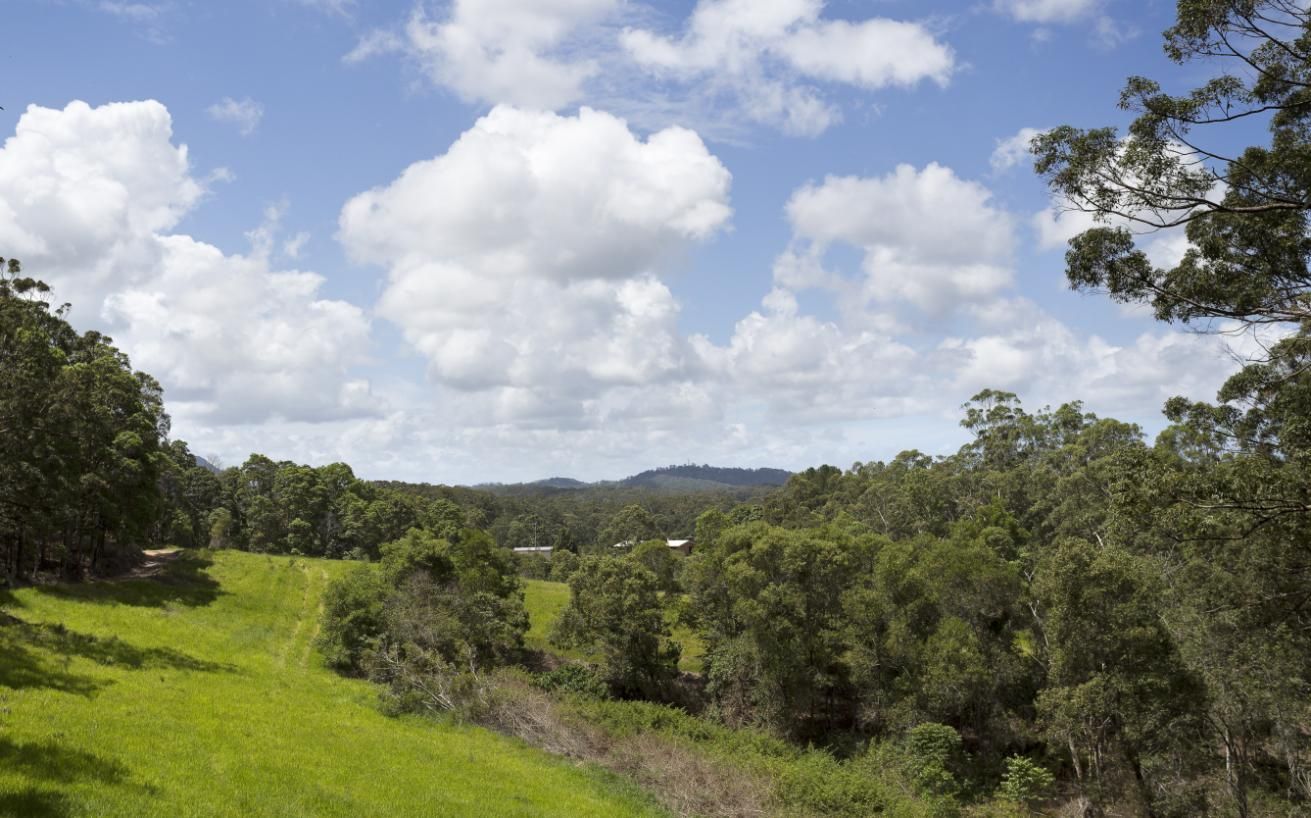 A Lush Green Field With Trees and Clouds in the Sky — IBS Skip Bins in Noosa, QLD