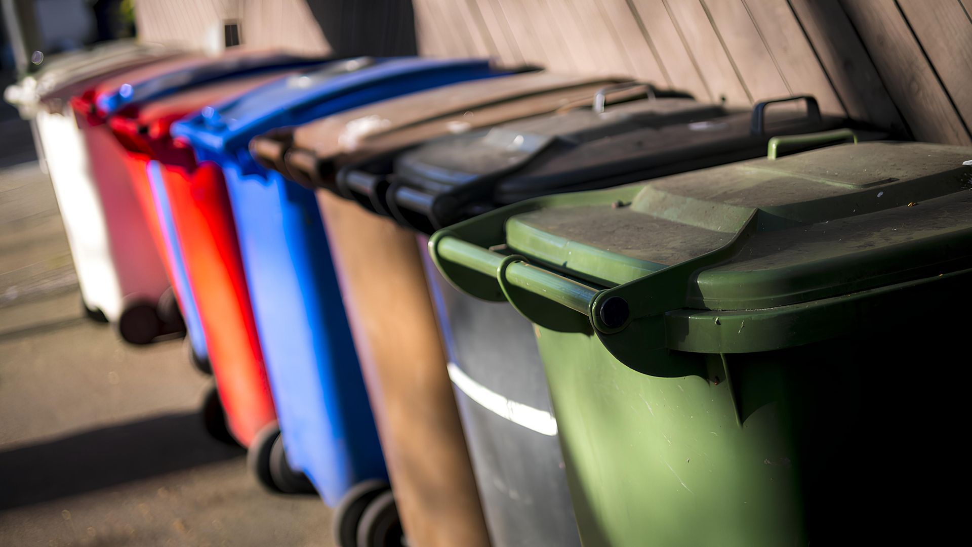A Row of Trash Cans of Different Colors Are Lined Up in a Row — IBS Skip Bins in Beerwah, QLD