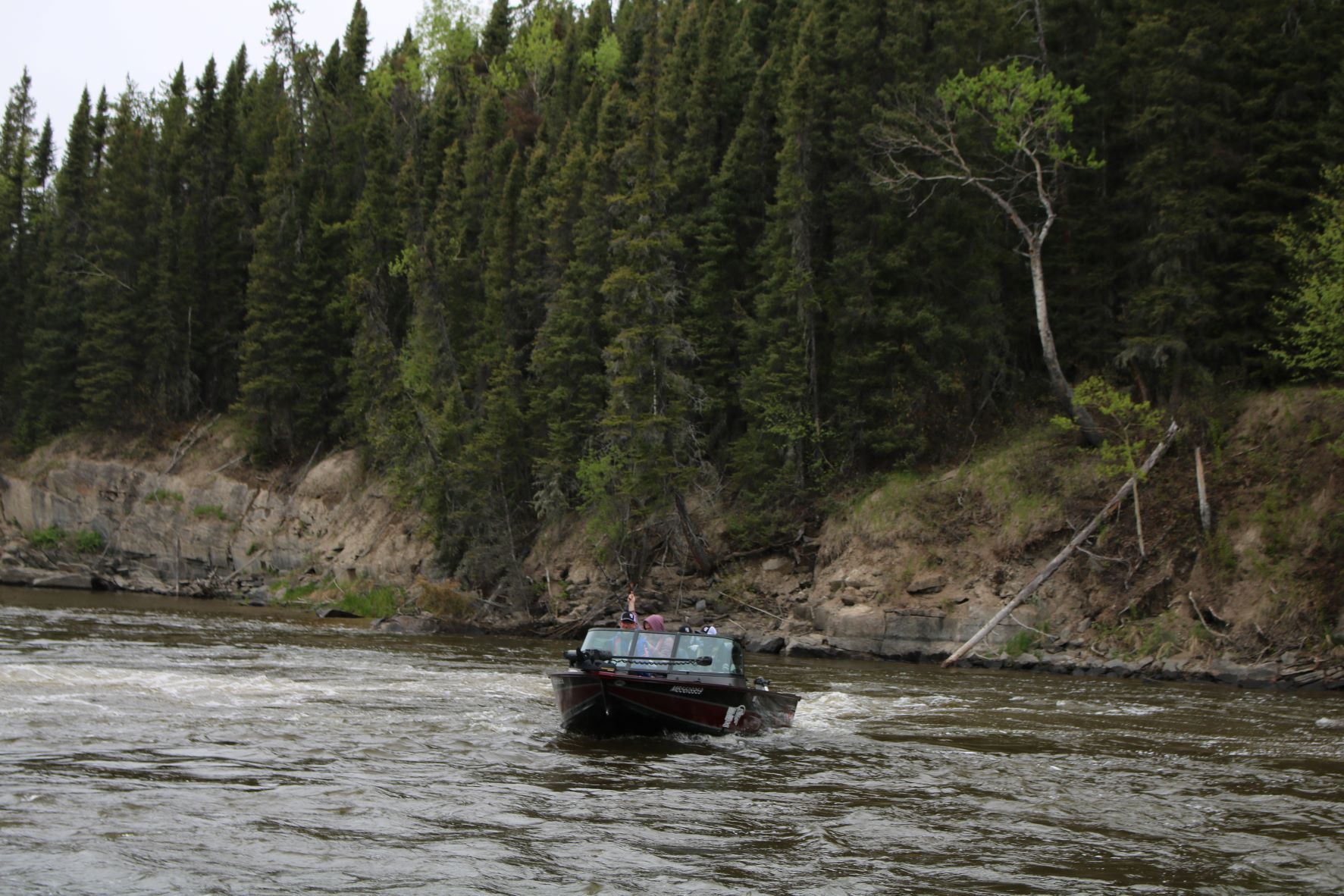 a boat is going down a river surrounded by trees .
