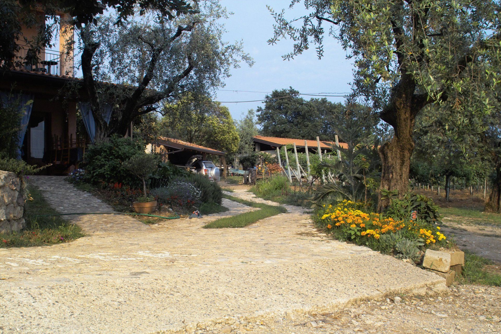 Spazio all'aperto di azienda agrituristica e bed & breakfast