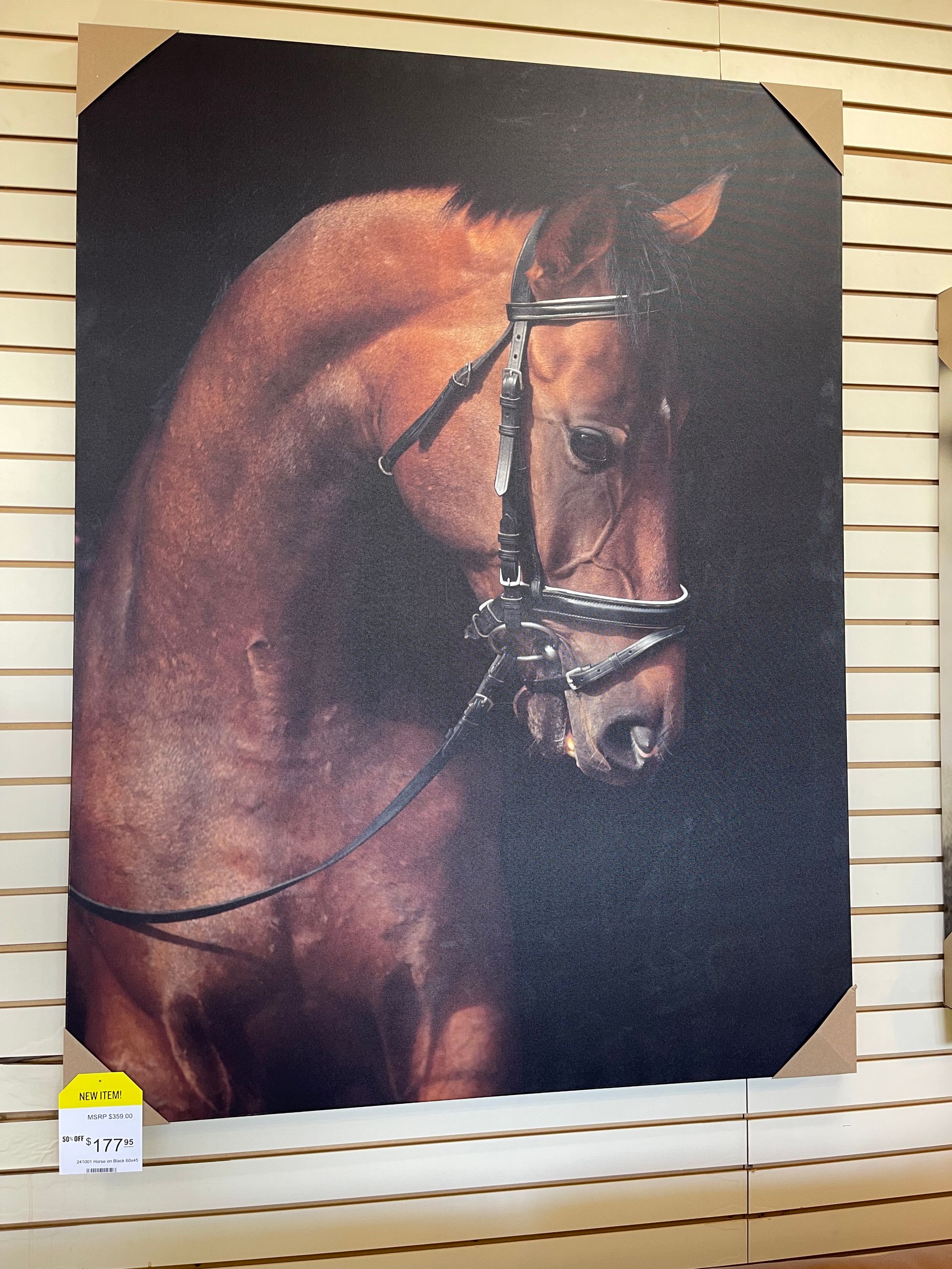 A framed portrait of a chestnut-colored horse wearing a bridle, set against a dark background.