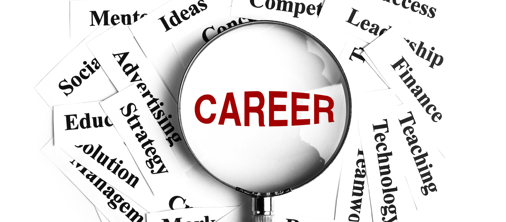 How To Choose The Career Path Thats Right For You 2375