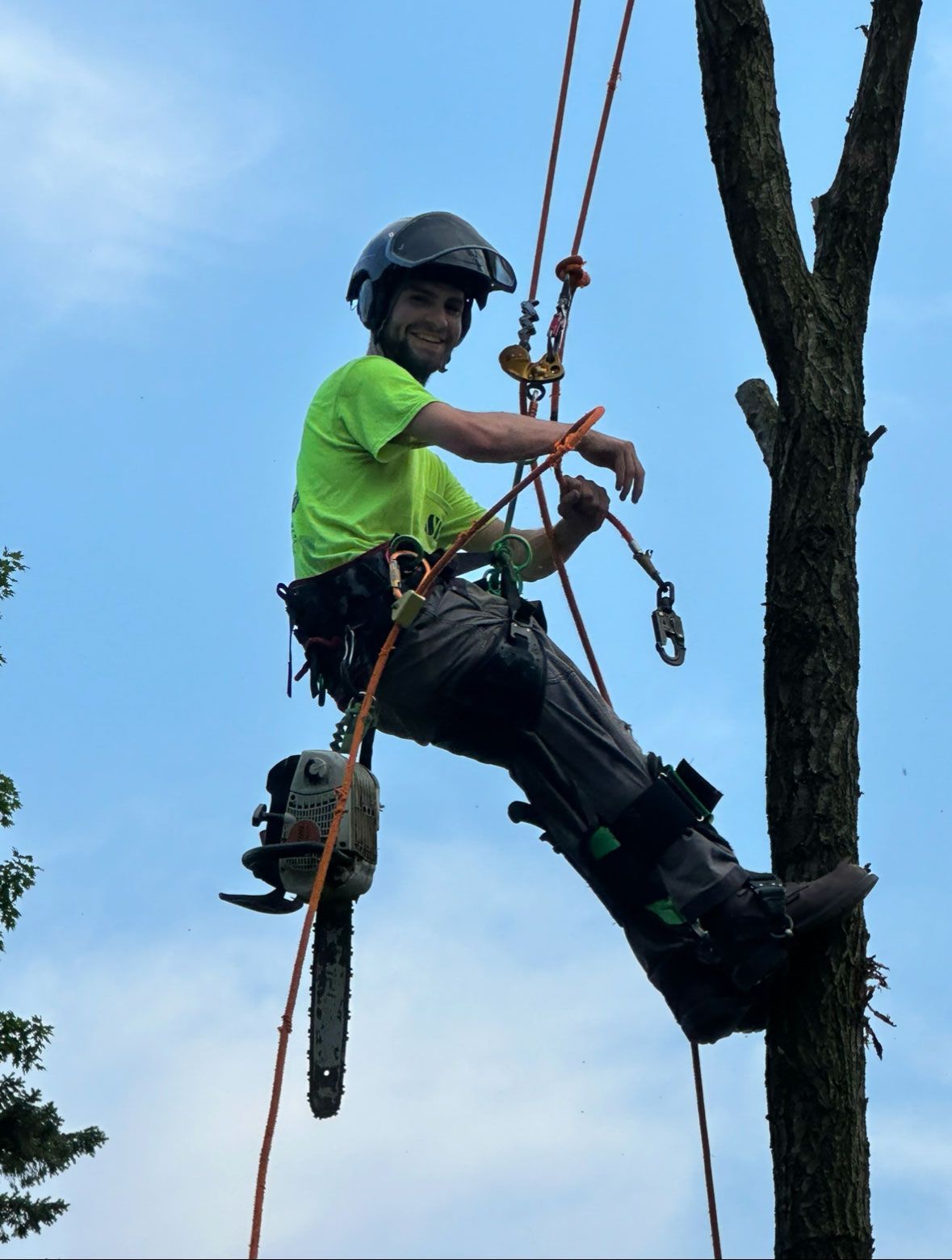 A man is climbing a tree with a chainsaw