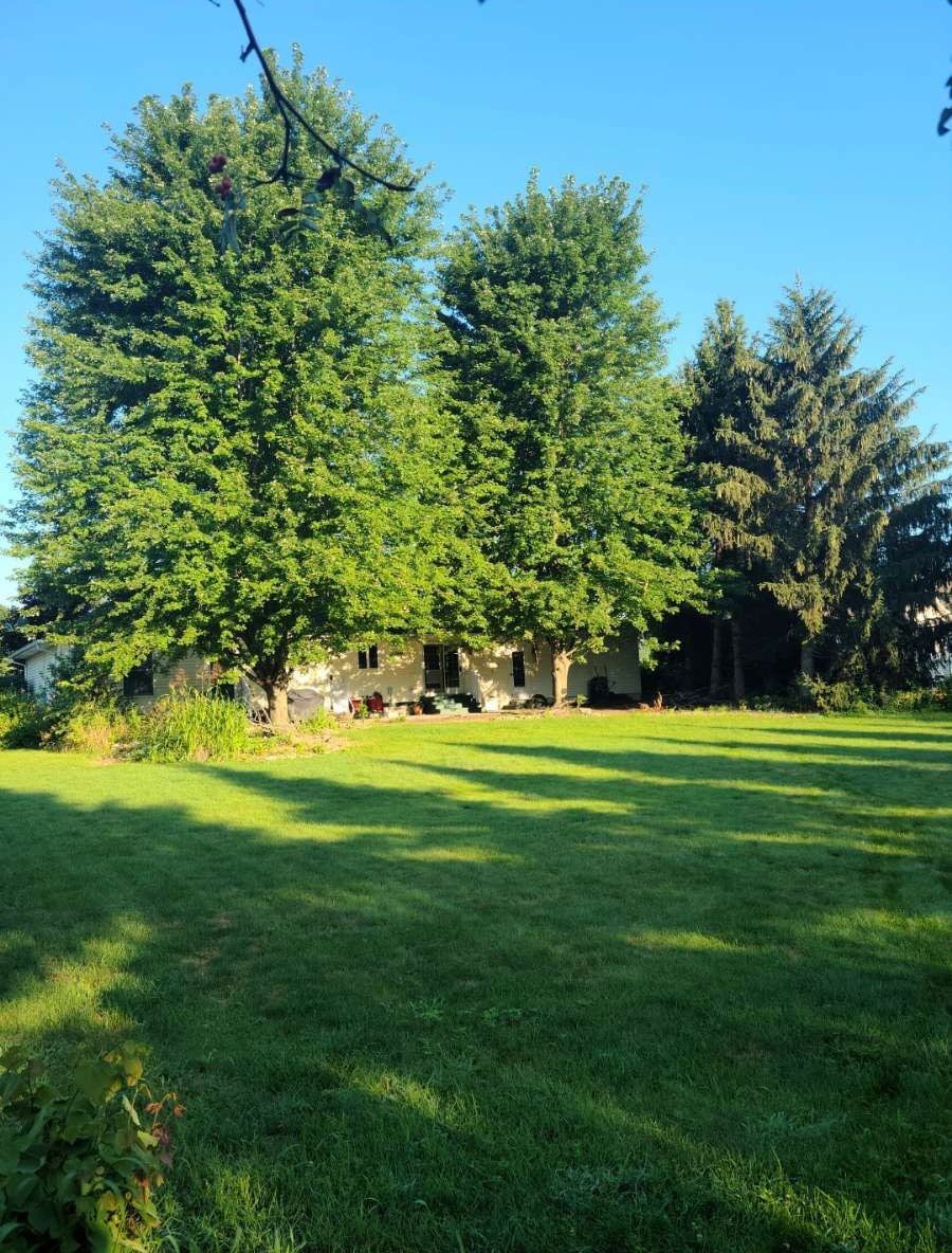 A lush green field with trees and a house in the background
