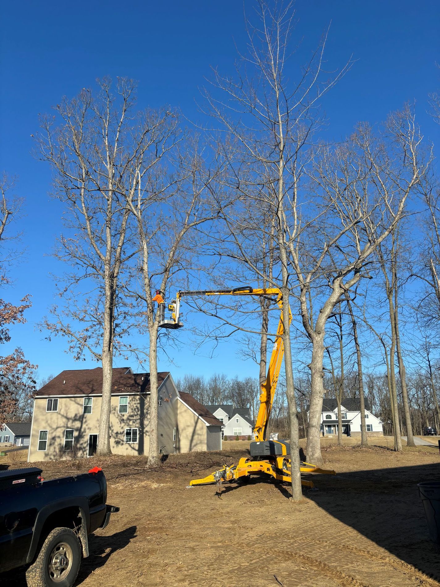 A yellow crane is cutting a tree in a yard.