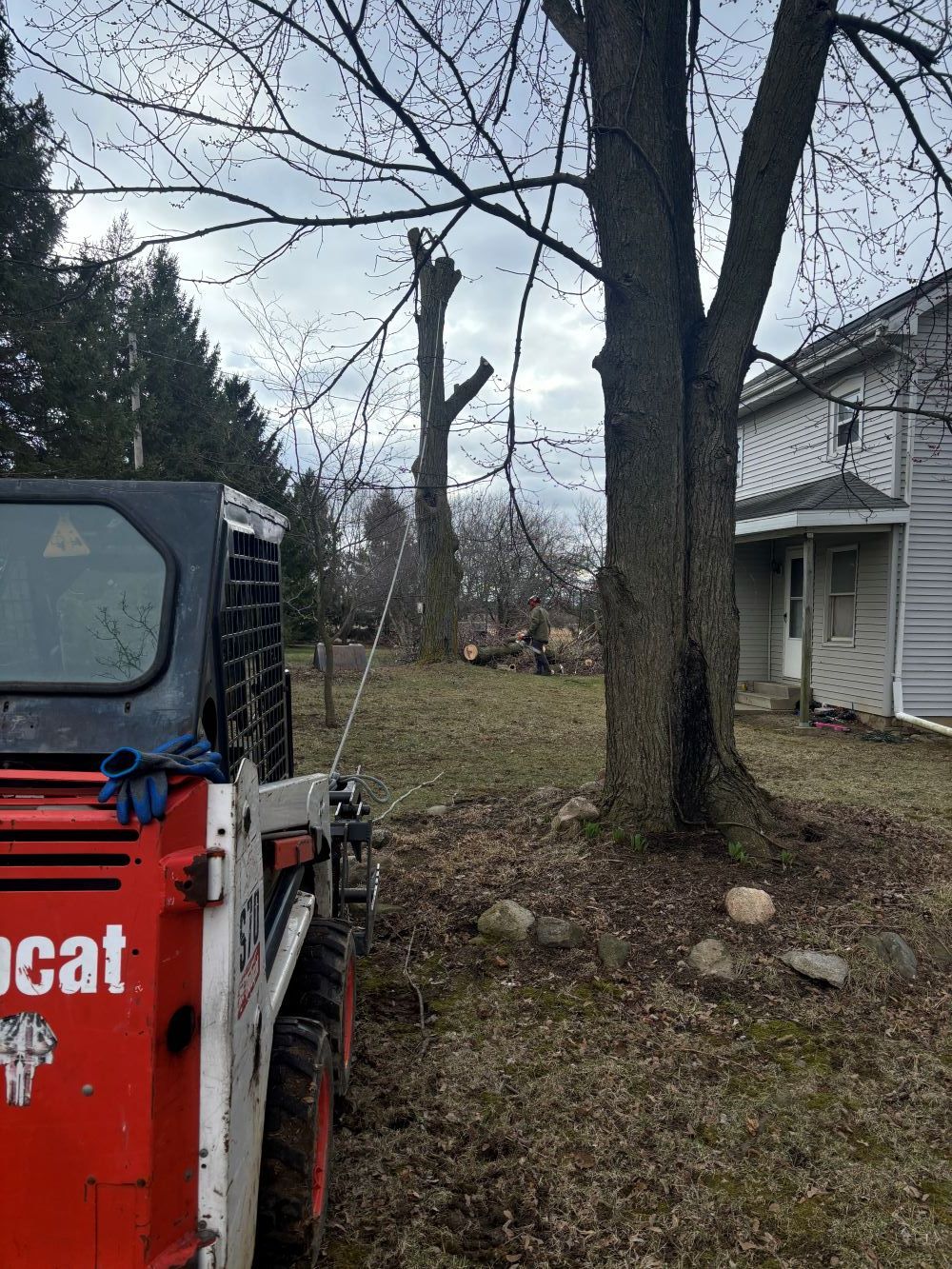 A bobcat is parked in front of a house next to a tree.