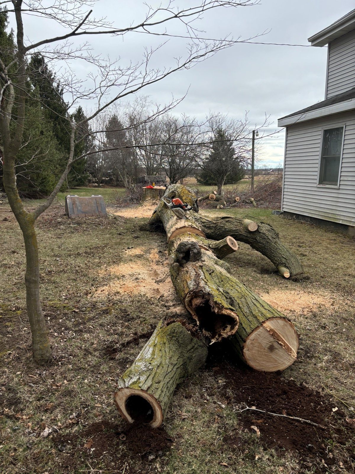 A large log is laying on the ground in front of a house.