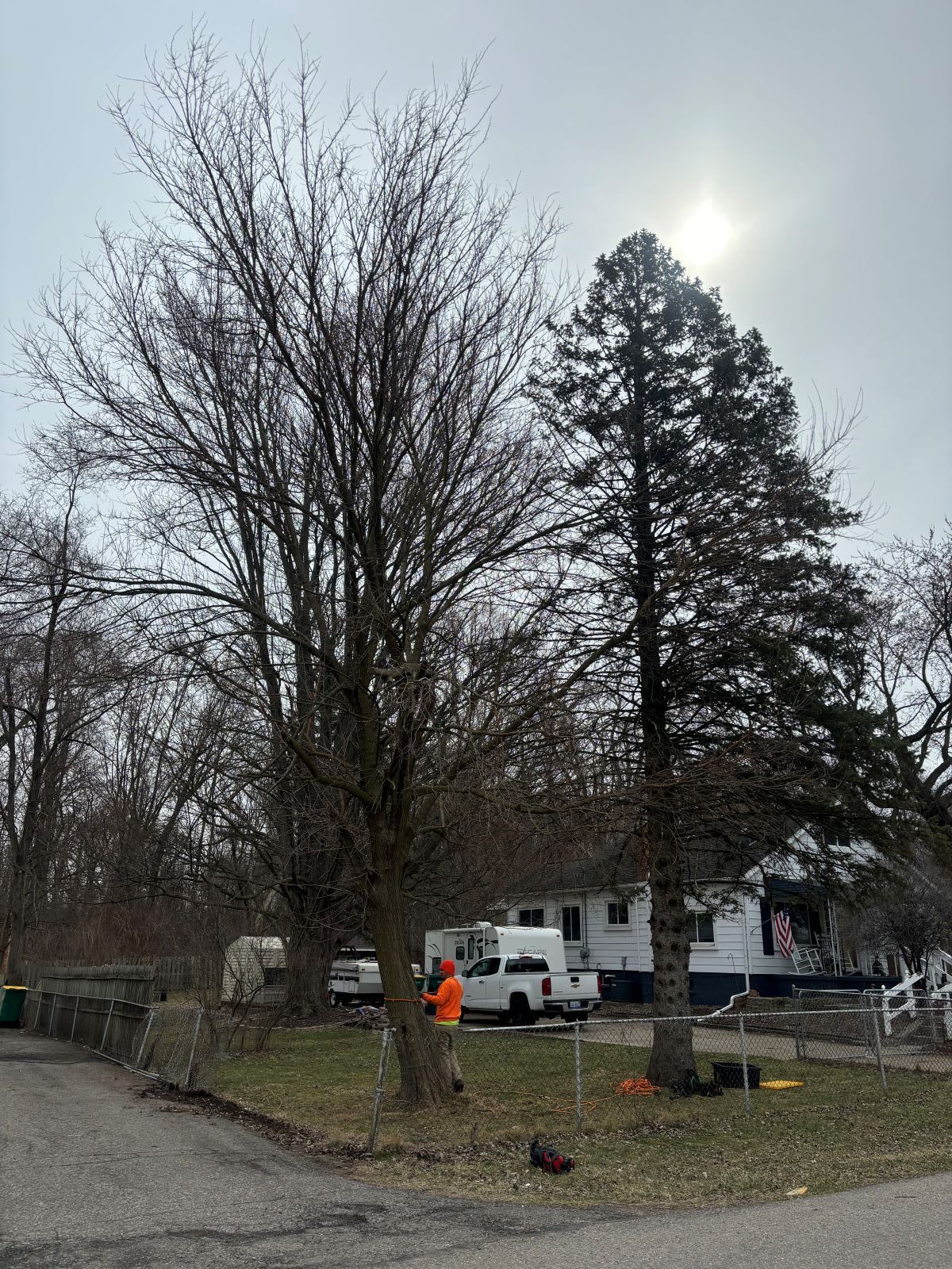 A man is cutting a tree in front of a house.