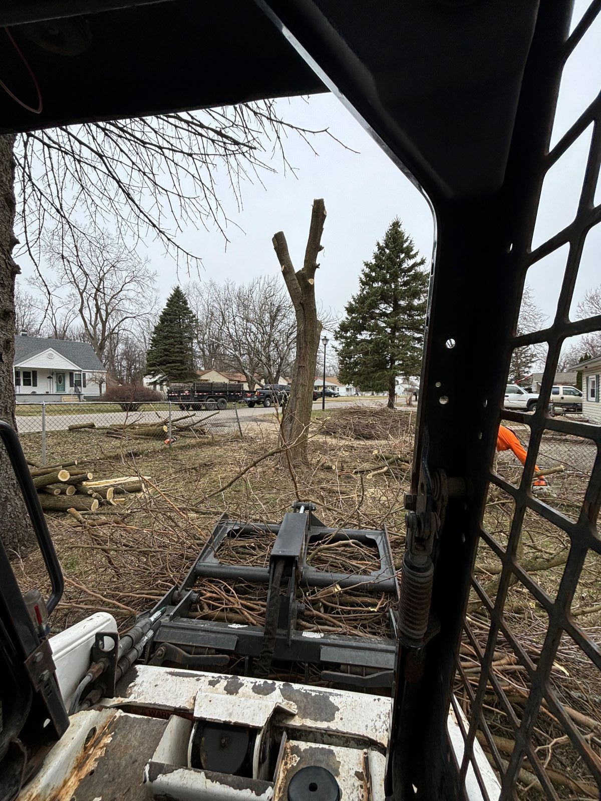 A bobcat is cutting down a tree in a field.