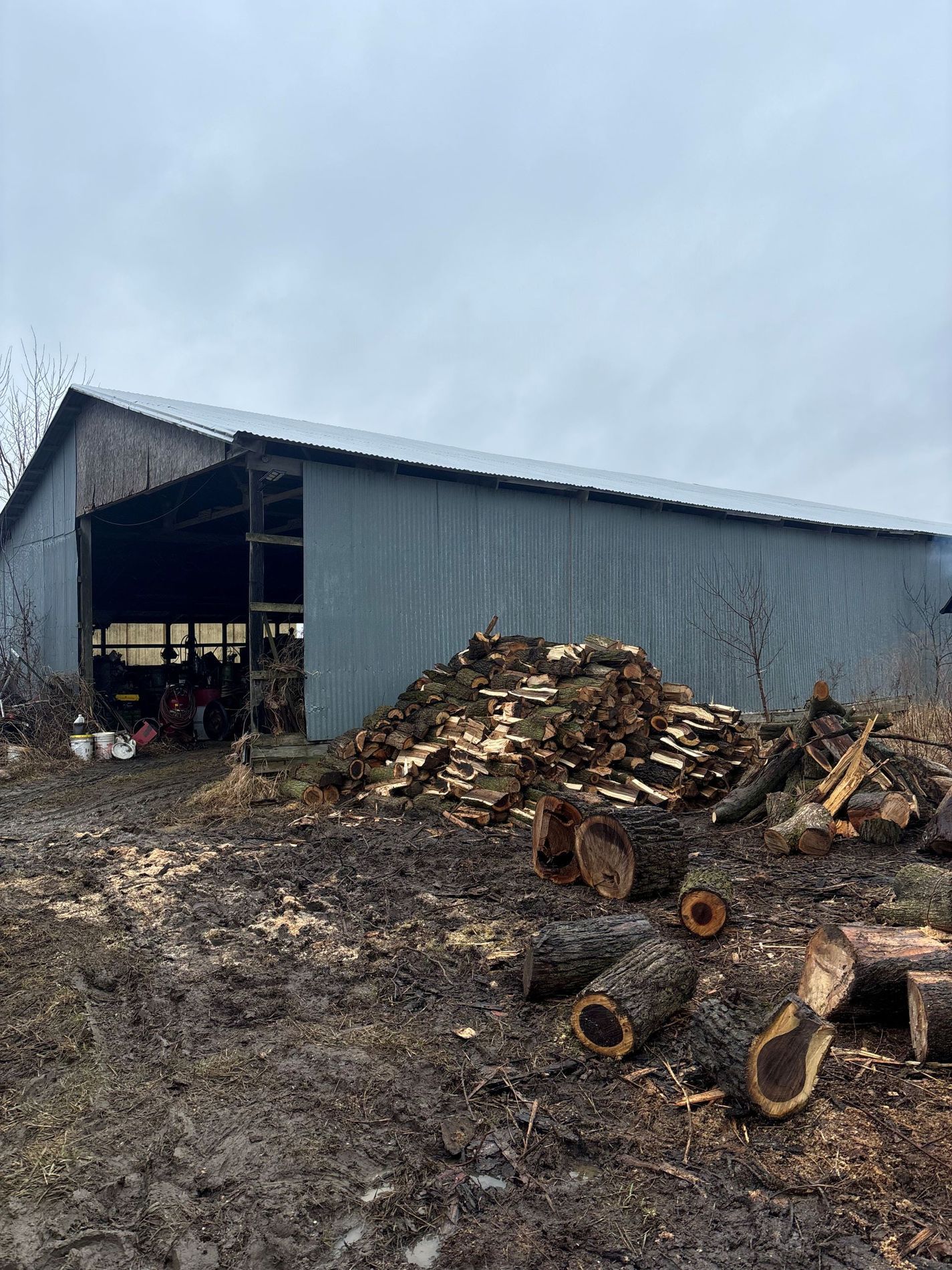 A pile of logs is sitting in front of a barn.