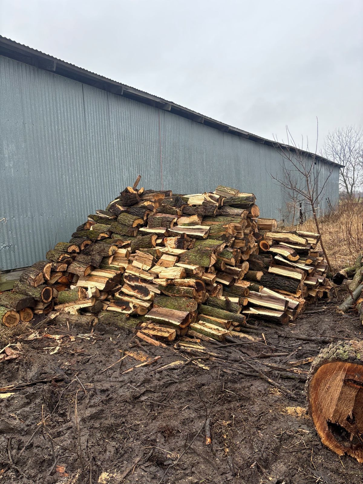 A pile of logs is sitting in the dirt in front of a building.