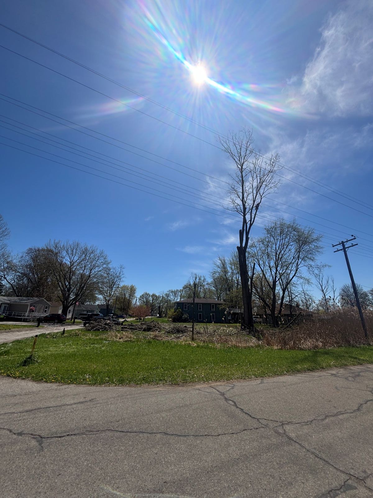 The sun is shining brightly in the sky over a grassy field.