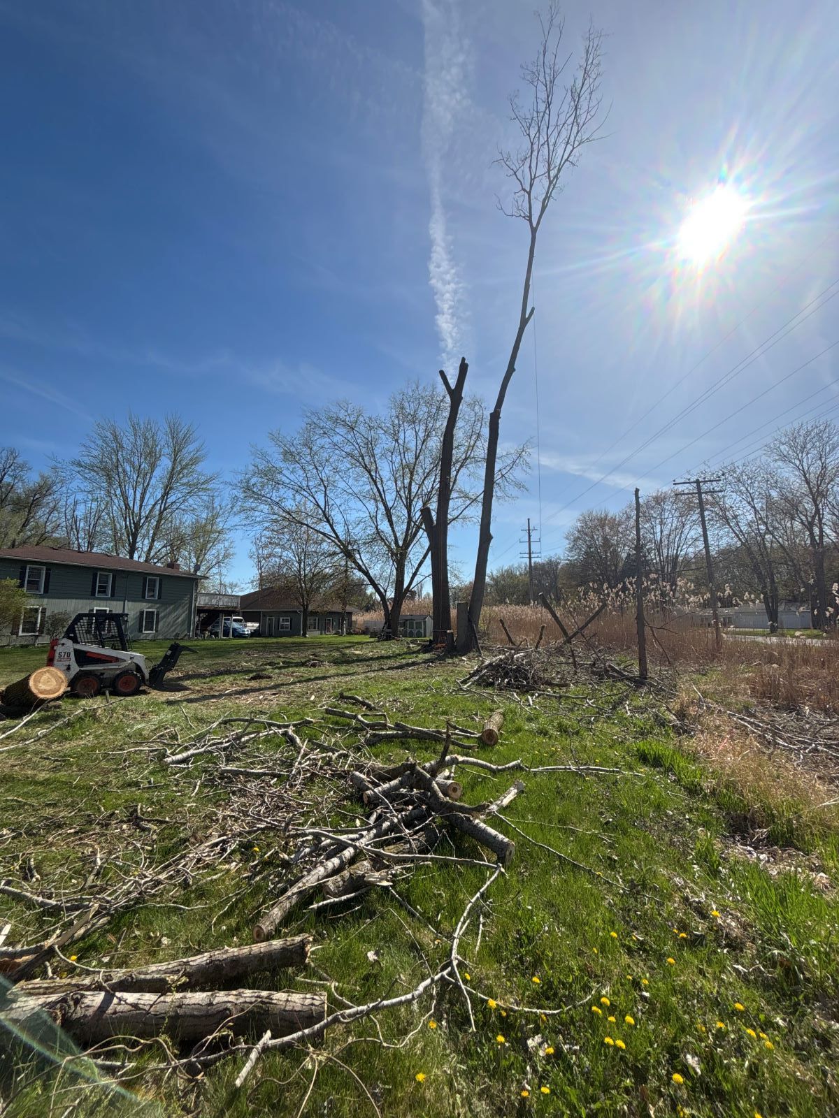 A pile of logs in a grassy field with a house in the background.