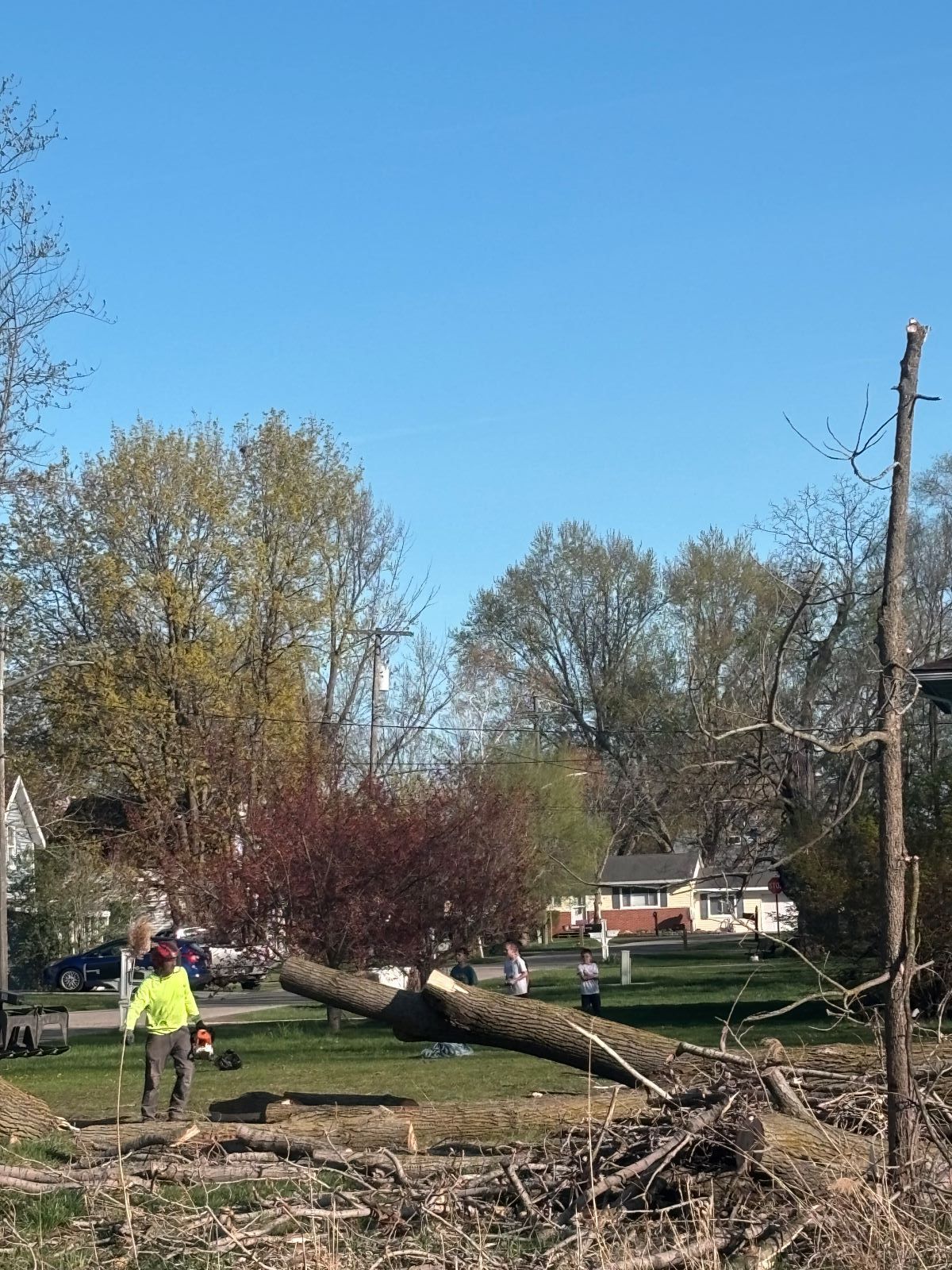 A person is standing next to a fallen tree in a field.