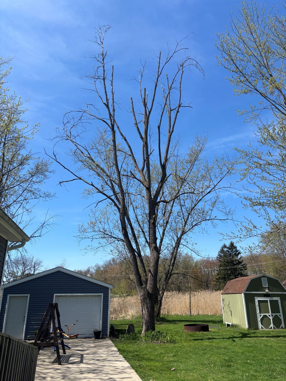 A tree with no leaves is in front of a house and garage.