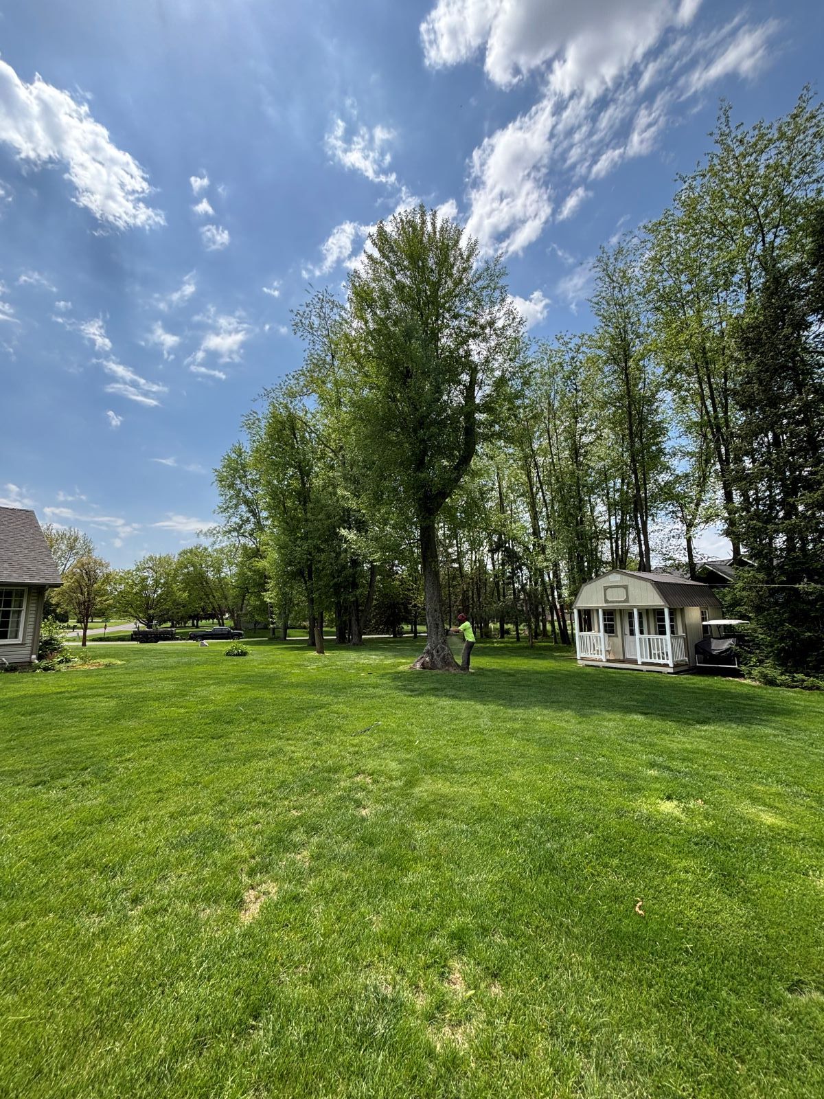 There is a house in the middle of a lush green field surrounded by trees.