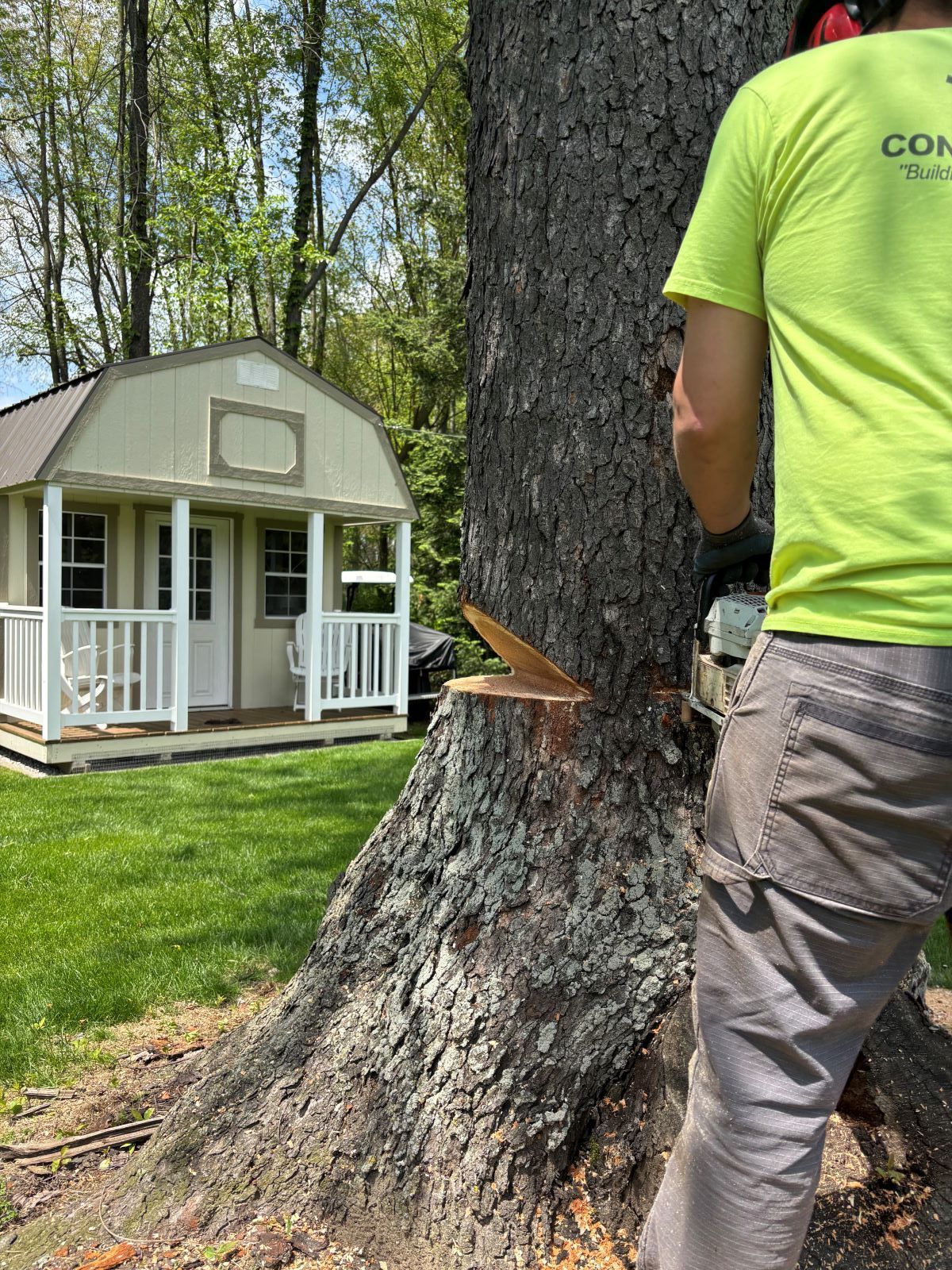 A group of people are cutting trees in a backyard.