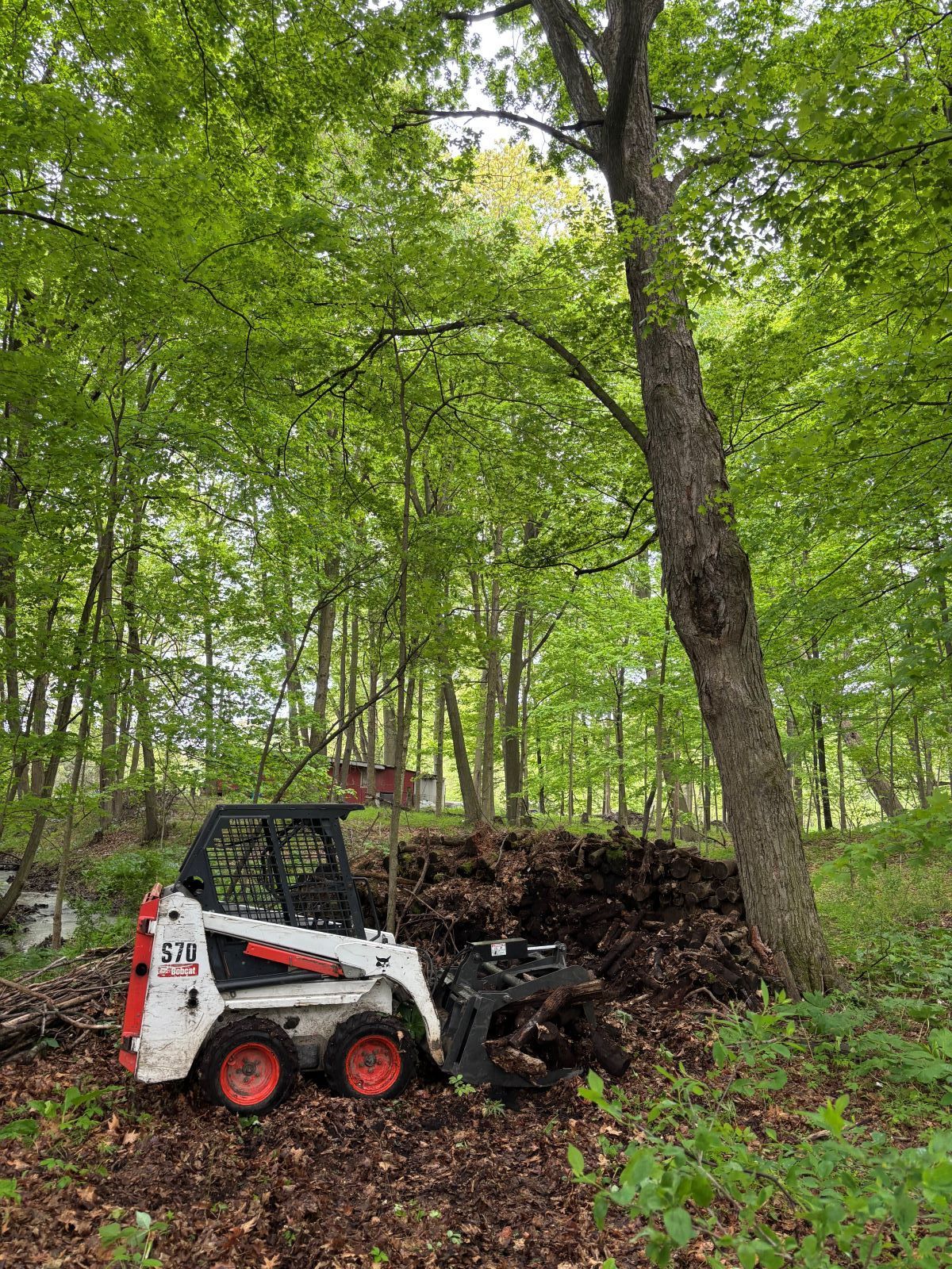 A bobcat is parked in the middle of a forest.