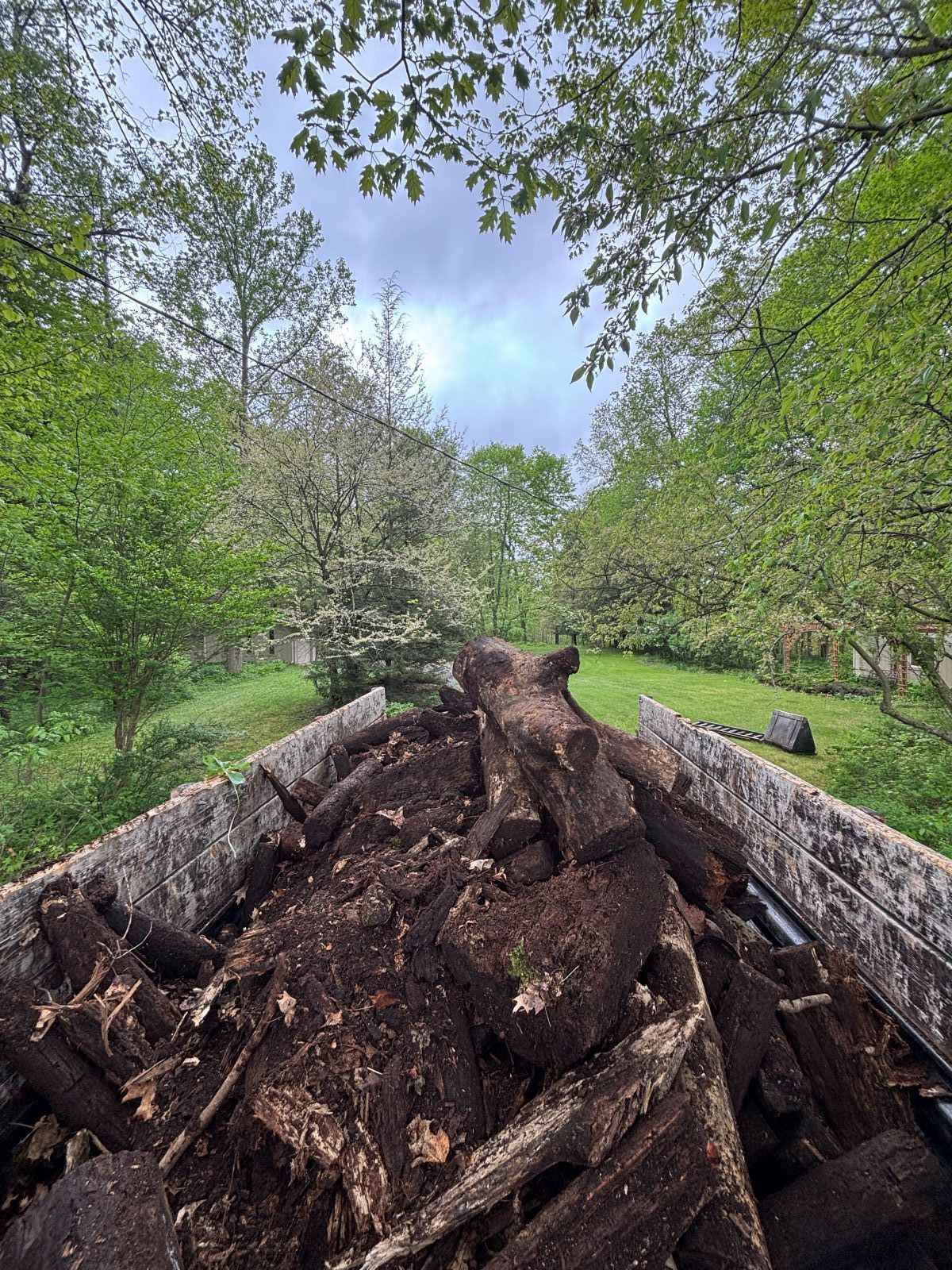A pile of wood is sitting in a truck in a field.
