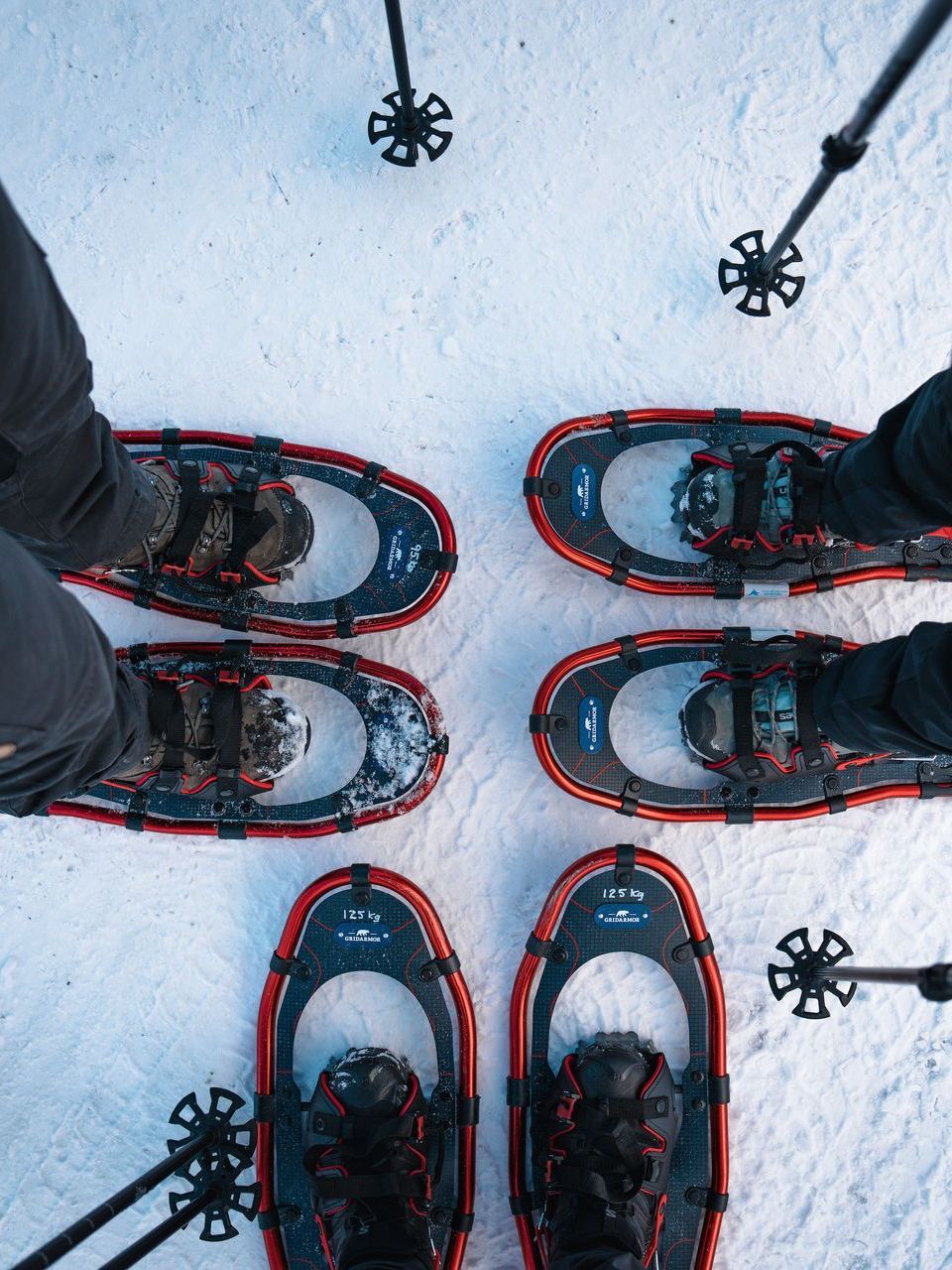 Snowshoes and feet