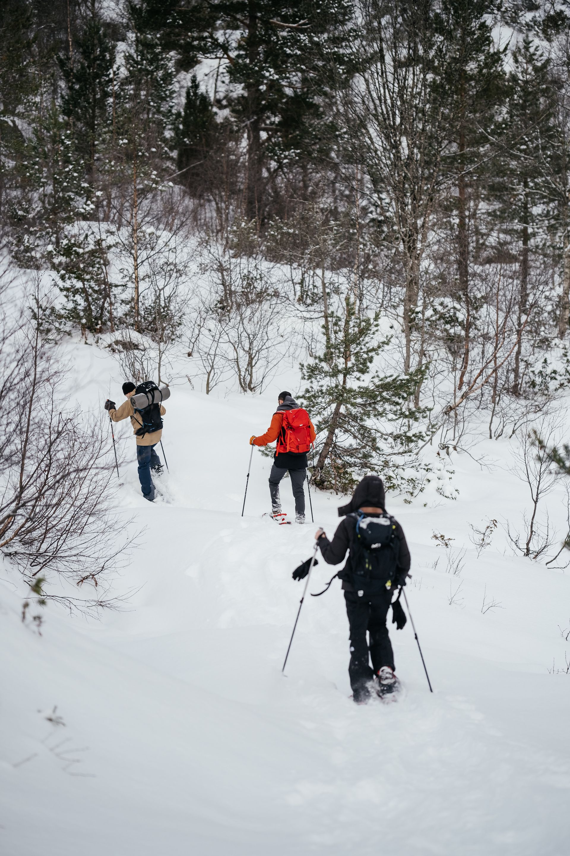 People on a guided snowshoe hike in Øystese