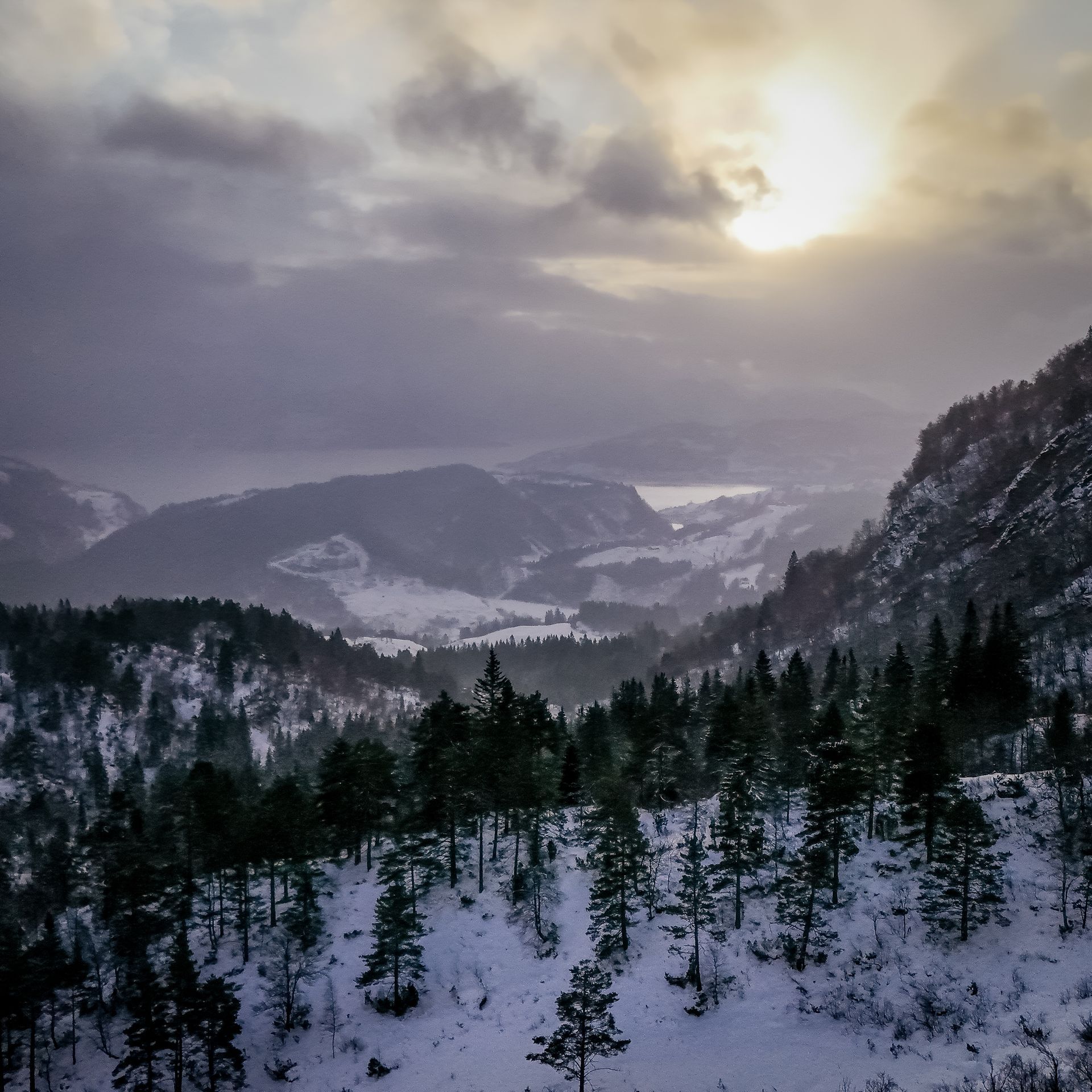 Winter landscapes in the Hardangerfjors
