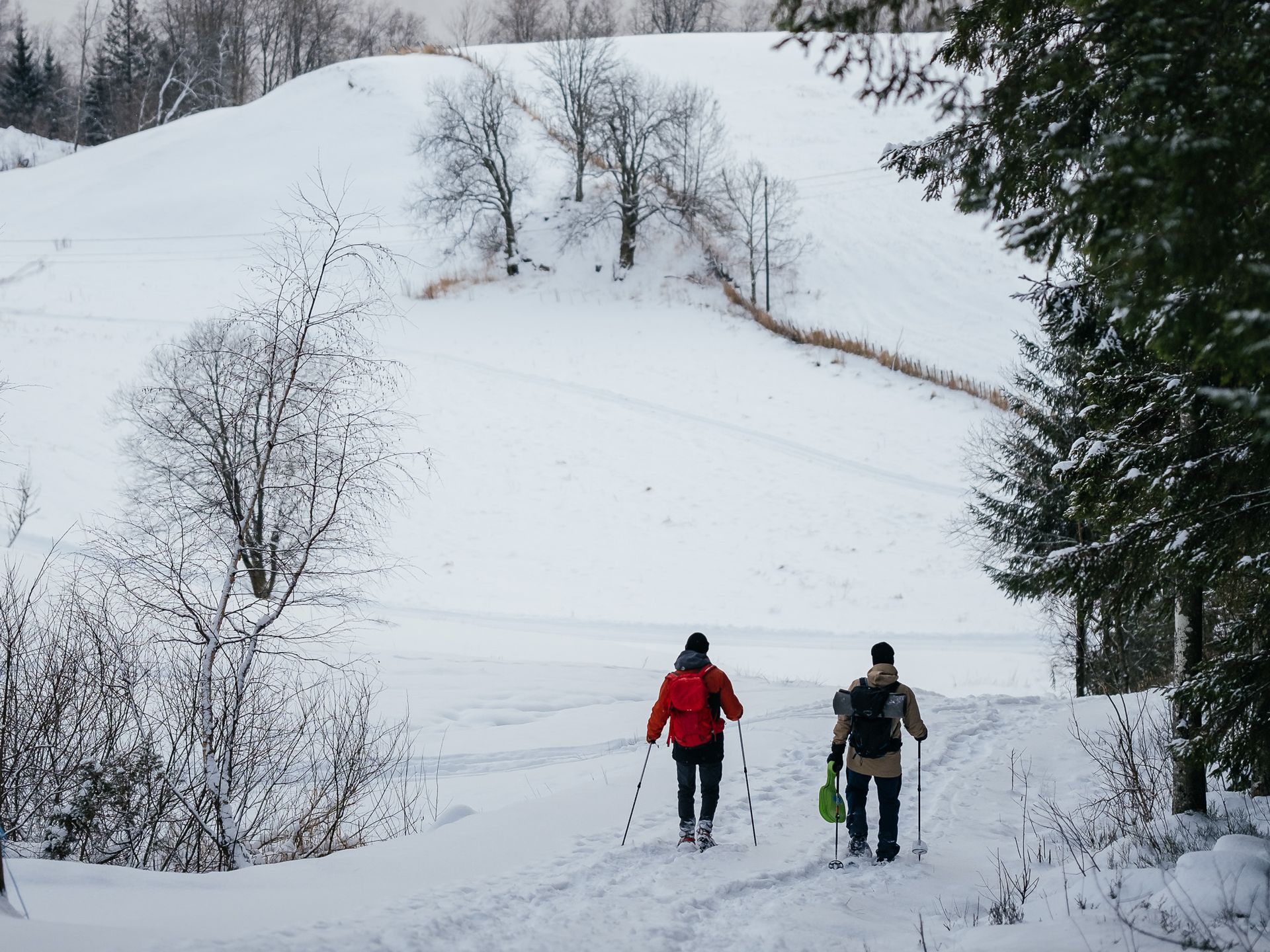 People on their way down on a snowshoeing hiking tour
