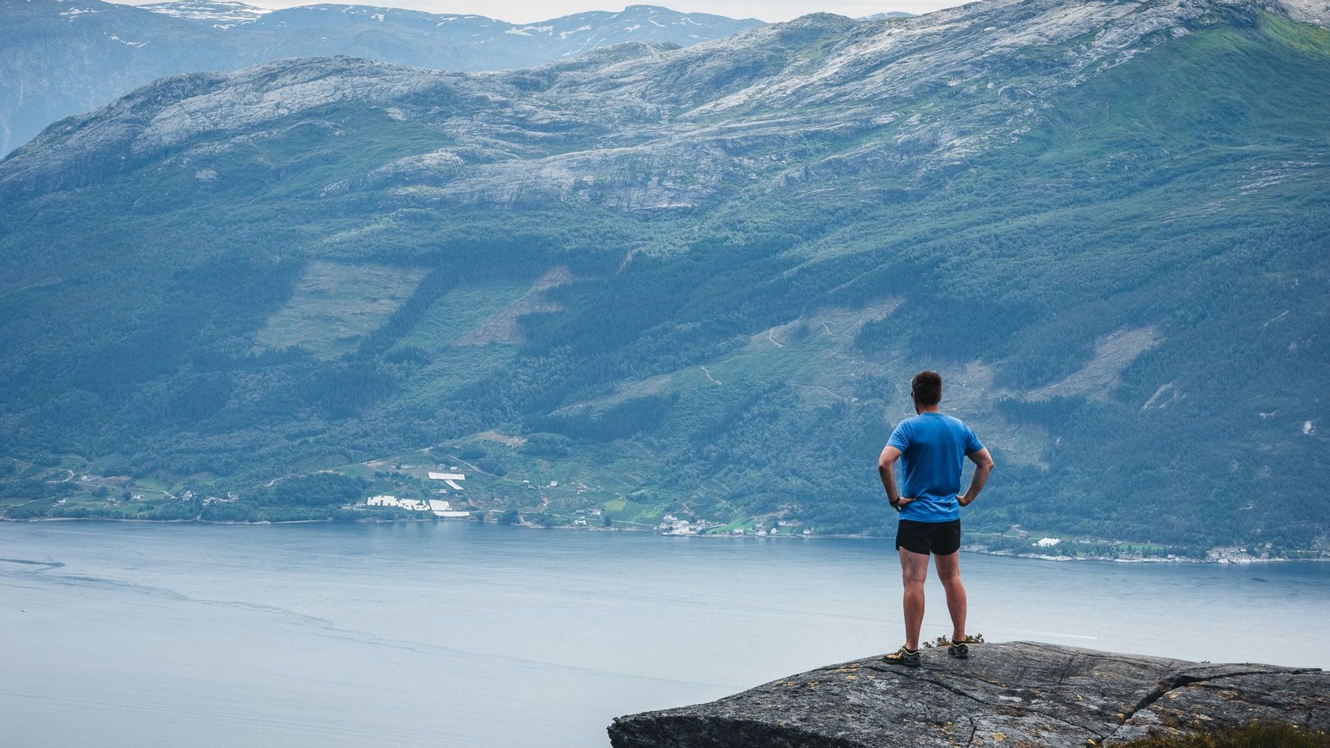 Vikedalsnebbet i Ålvik