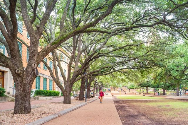 What Plants Thrive in Texas Shade: Discover the Ideal Choices