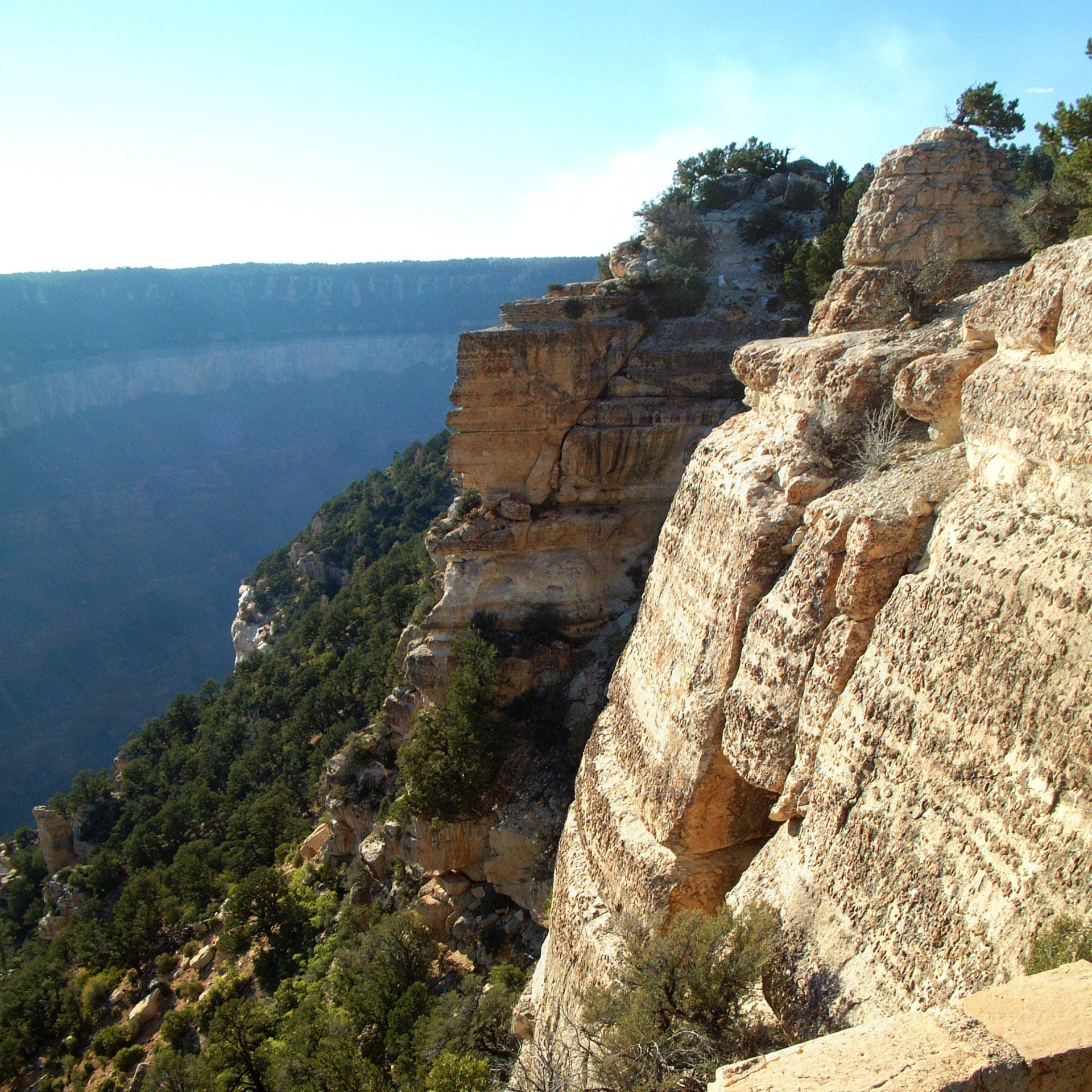 Coconino County Northern Arizona