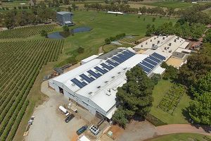 Aerial view of a winery with solar panels on the roof, surrounded by vineyards and fields.