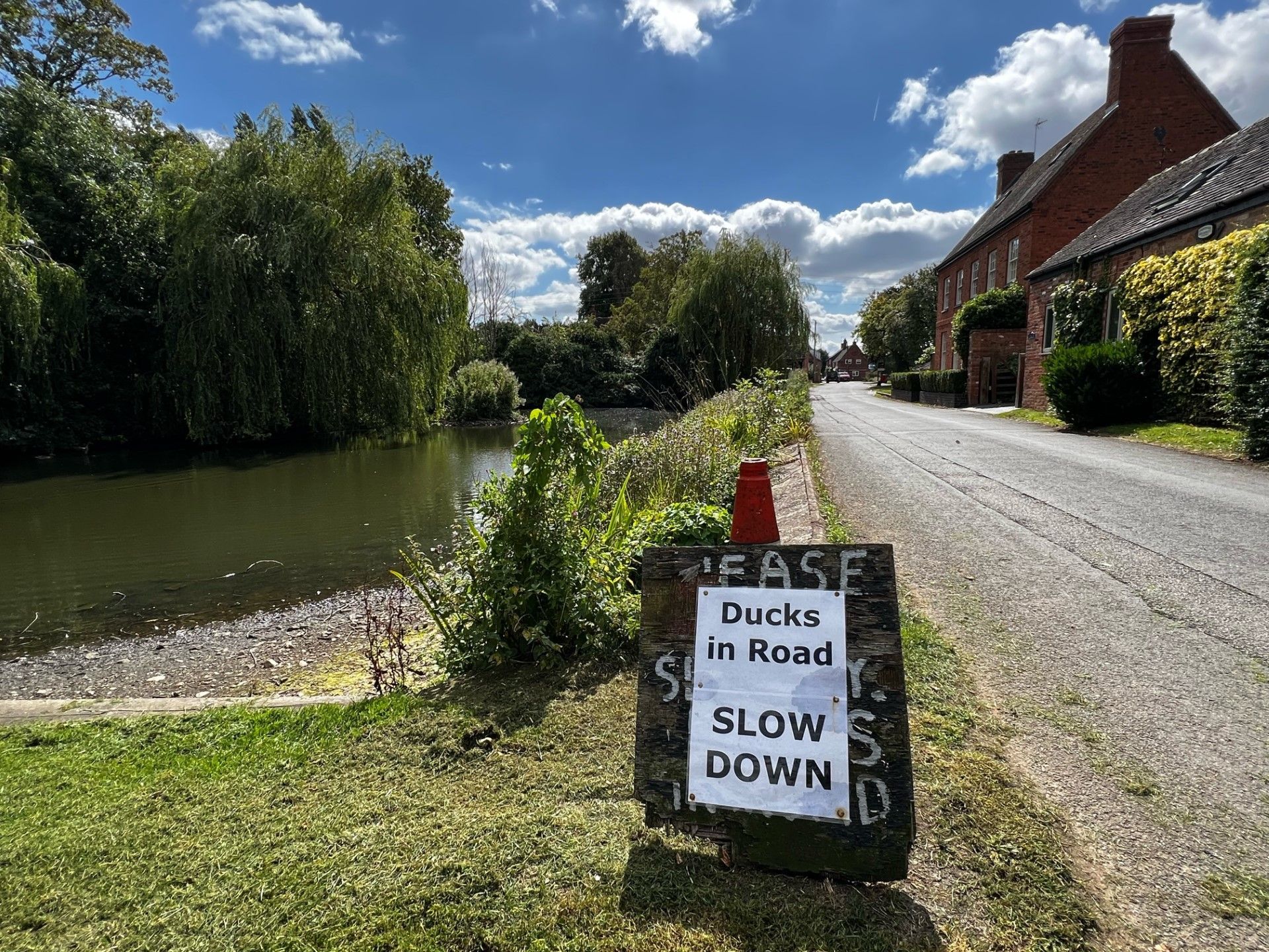 Roadside sign warns of ducks. Beside a pond, trees, and a brick building.