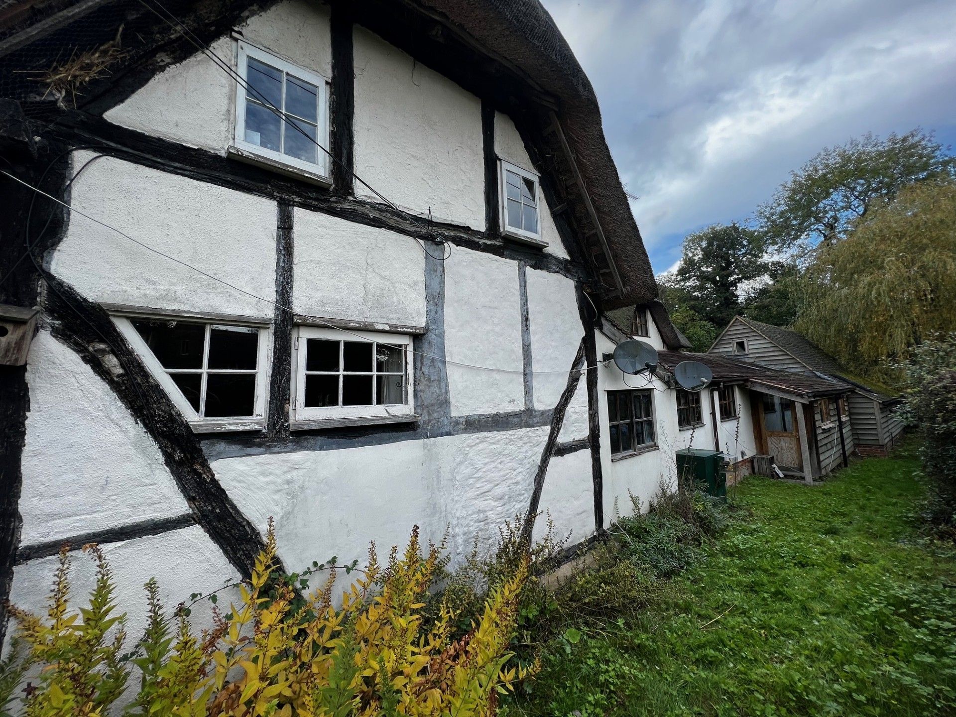 A half-timbered cottage with thatched roof, overgrown grass, and cloudy sky.