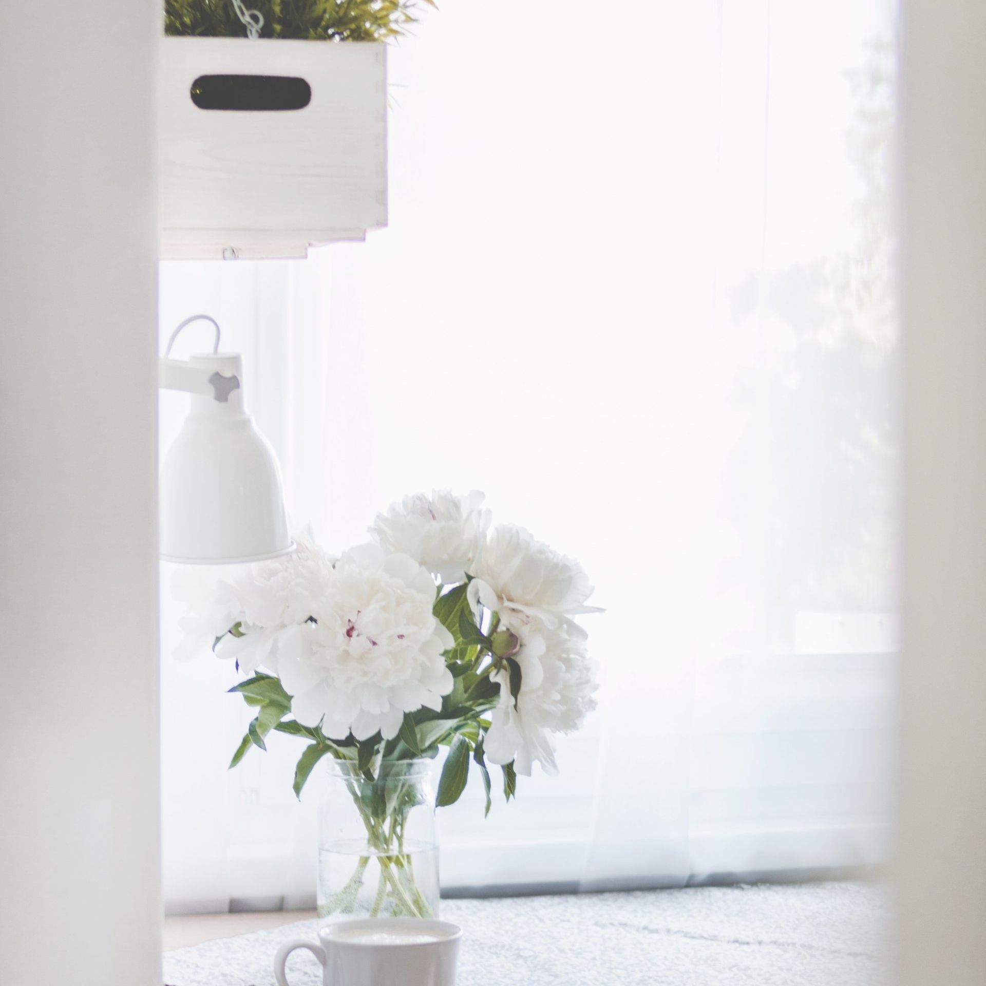 Photo of flowers in a vase
