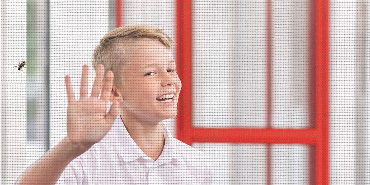 ISN Insektenschutz Fachhändler werden