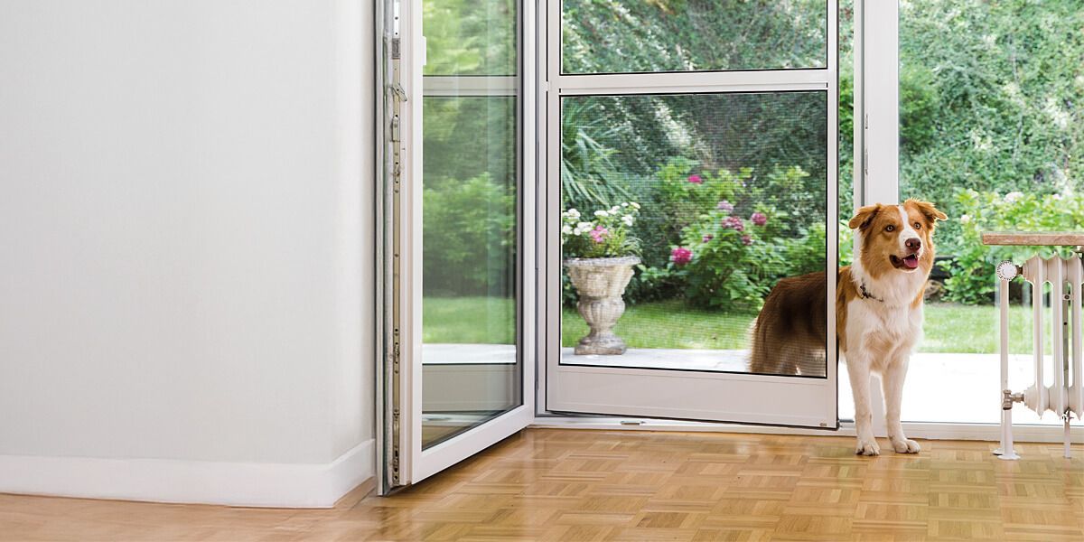 ISN Insektenschutz Pendeltüre ideal bei einen Haushalt mit Hund oder Katze