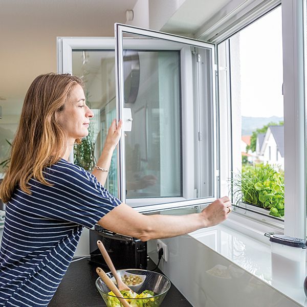 ISN Rollo für Dachfenster