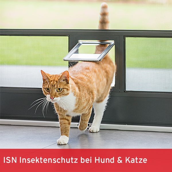 ISN Insektenschutz bei Hund und Katze
