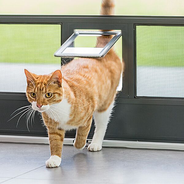 ISN Plissee für Klappläden