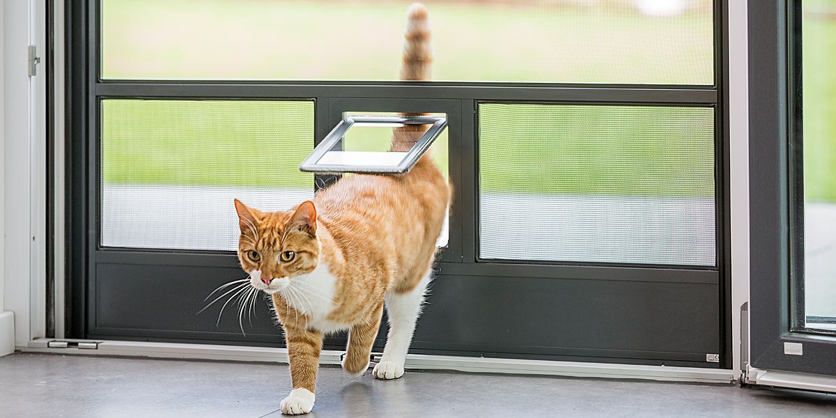 ISN Insektenschutz mit Katzen- und Hundeklappen