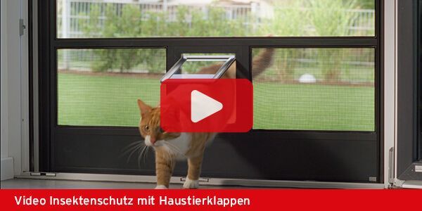 Video ISN Dachfenster-Rollo aushängen