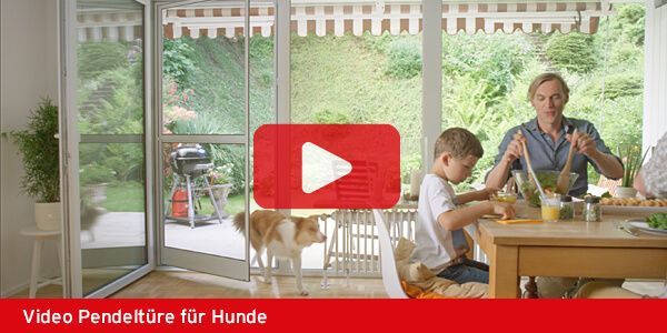 Video ISN Insektenschutz Rollo für Dachfenster