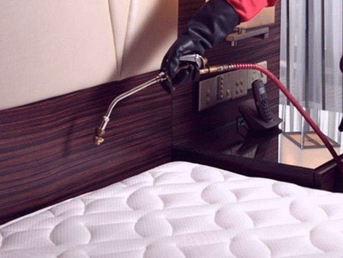 cedar park tx pest control