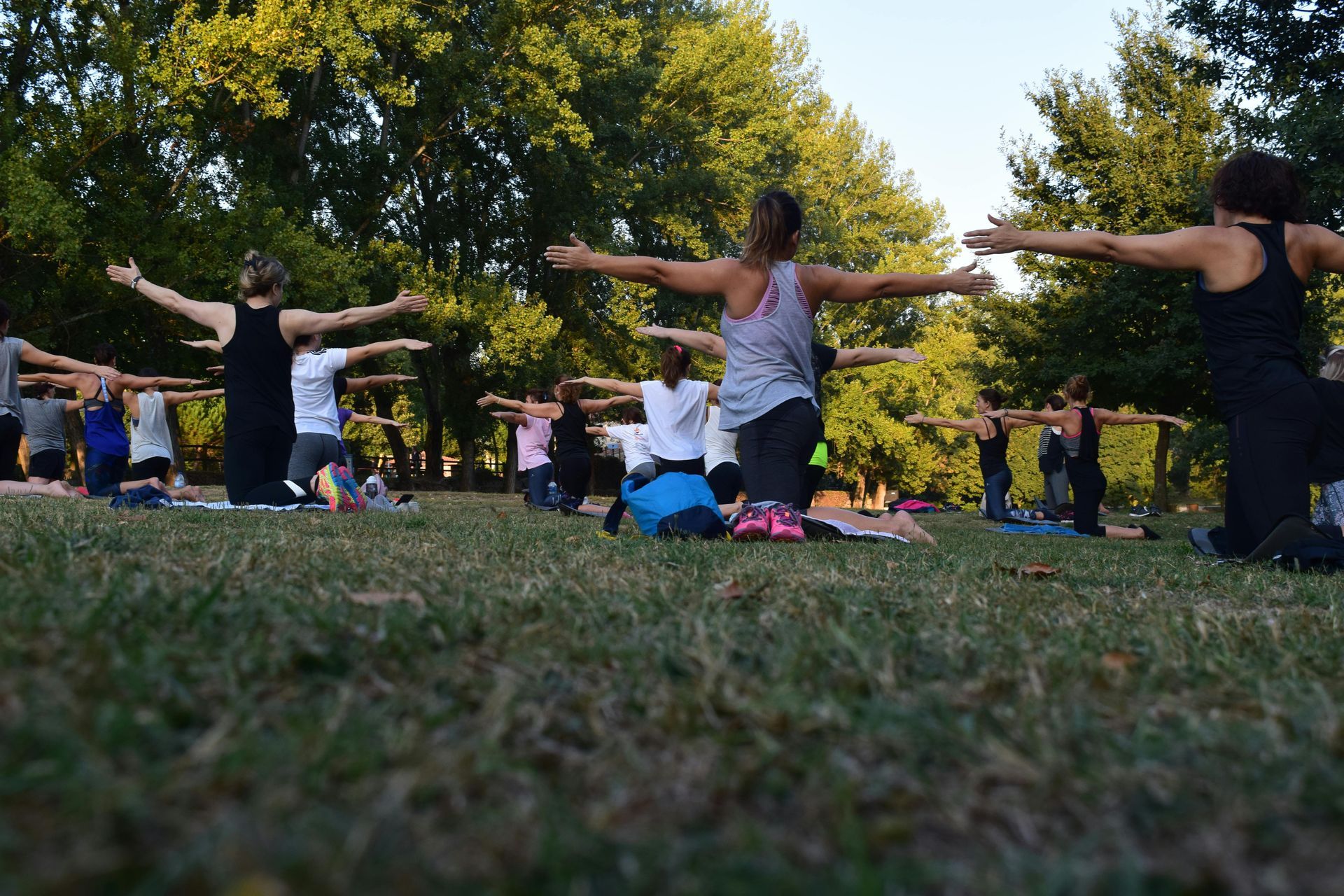 A group of people are doing yoga in a park