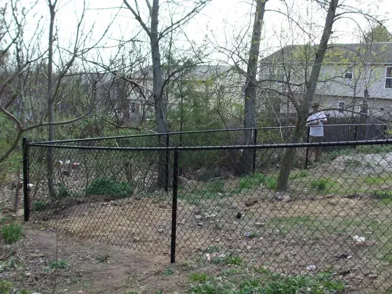 A black chain-link fence encloses a dirt area with trees and bushes in a residential yard near a house.