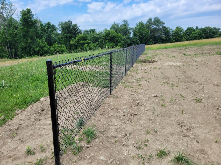 A black chain-link fence separates a dirt clearing from a grassy field under a blue sky.